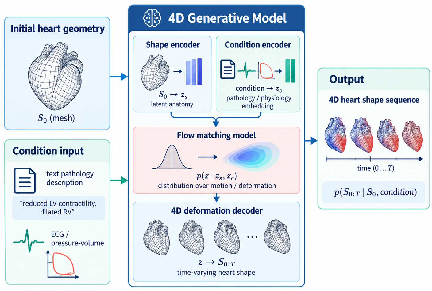 Pathology-conditioned 4D heart shape generation methodology